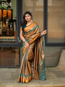 Code-B04 কাঞ্জিভরম কাতান শাড়ি ব্লাউজ পিসসহ